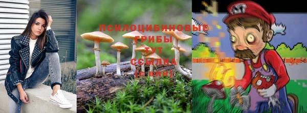 ALPHA PVP Медвежьегорск