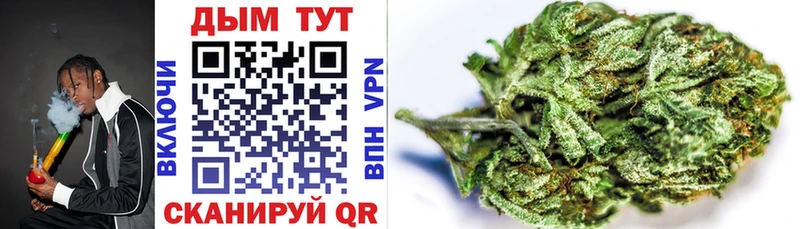 Каннабис OG Kush Дорогобуж